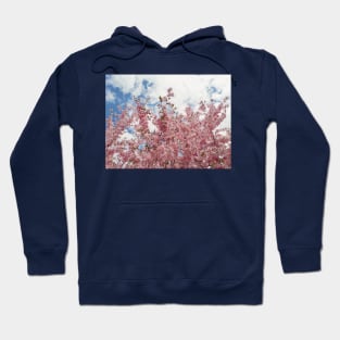 Wild pink cherry Hoodie